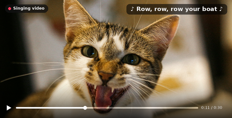 best-ai-cats-singing-generator-zoice-cat-photo-singing-video-tw4cf3.png